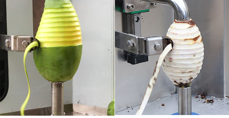 Commercial papaya peeling machine Commercial papaya peeling machine