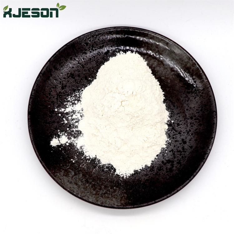 Muira Puama Extract powder Muira Puama Extract powder