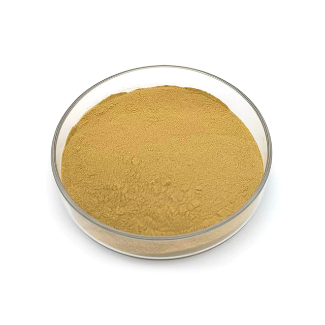 Factory Supply 100% Pure Dried Lotus Leaf Extract Powder Food Grade Bulk Lotus Leaf Extract Powder3 Factory Supply 100% Pure Dried Lotus Leaf Extract Powder Food Grade Bulk Lotus Leaf Extract Powder3