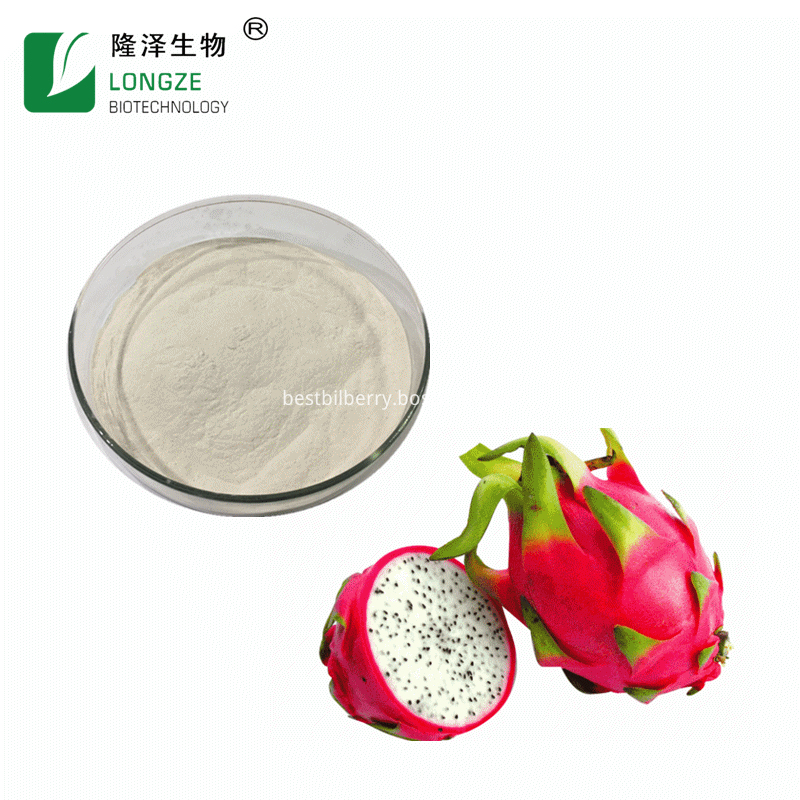 white dragon fruit powder white dragon fruit powder