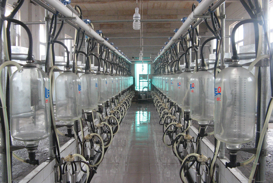 milking parlor