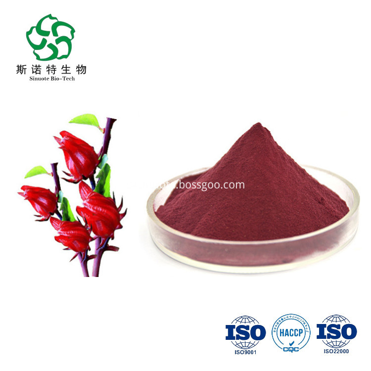 Hibiscus Flower Extract Hibiscus Flower Extract