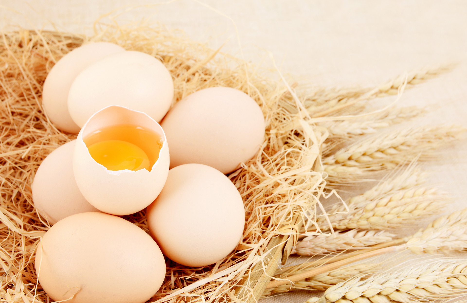 Whole Egg Powder (1) Whole Egg Powder (1)