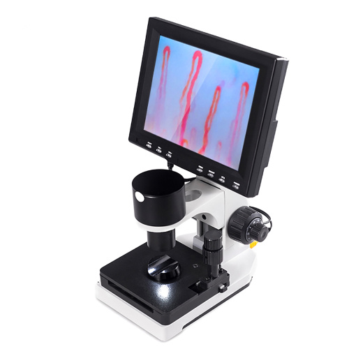 8'' LCD Capillary Microcirculation Checking Microscope for Sale, 8'' LCD Capillary Microcirculation Checking Microscope wholesale From China