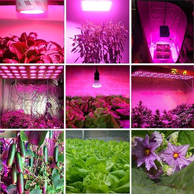 Full Spectrum Grow Light