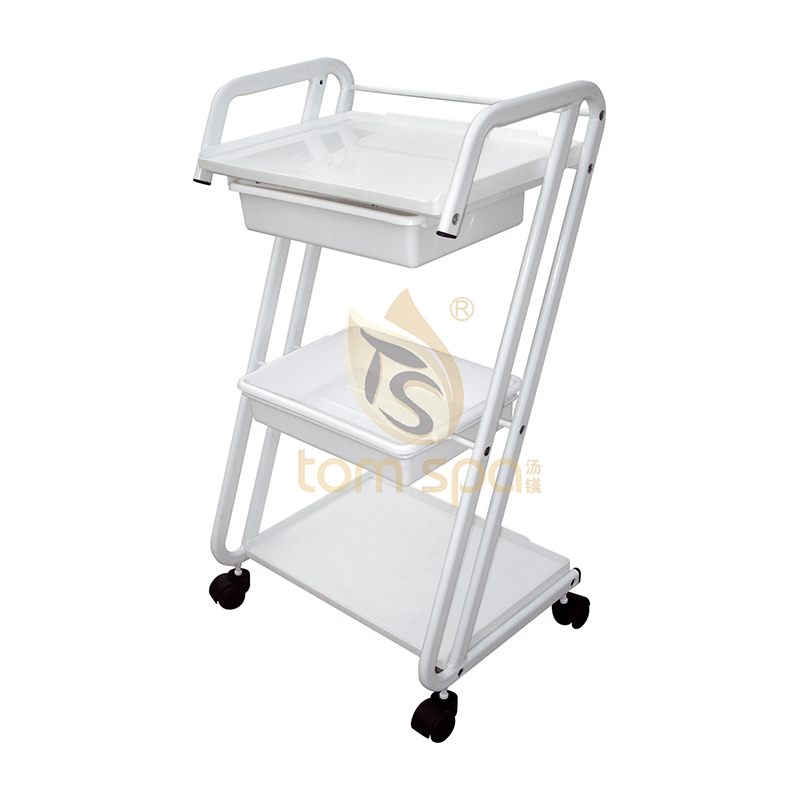 4 Rollwagen 4 Rolling Casters Trolley