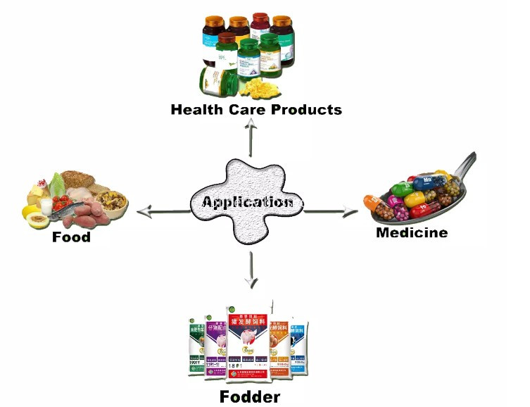 garcinia cambogia powder 9 garcinia cambogia powder 9