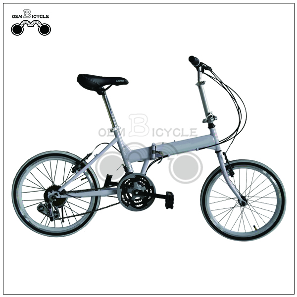 folding bike2