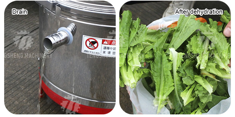 Commercial Lettuce Dryer Commercial Lettuce Dryer