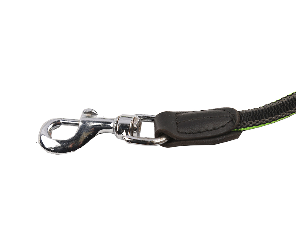 Chaîne durable de chien de compagnie Durable Pet Dog Chain