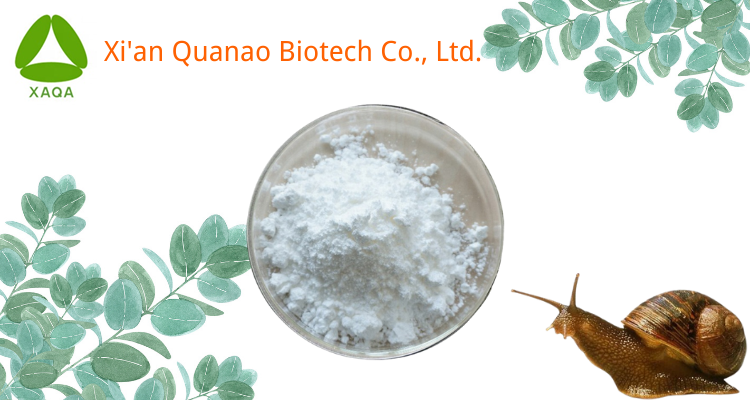 Snail Slime Extract Snail Slime Extract