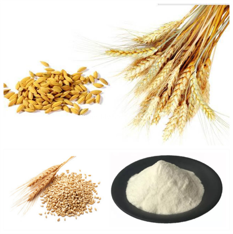 Wheat Oligopeptide Powder Wheat Oligopeptide Powder