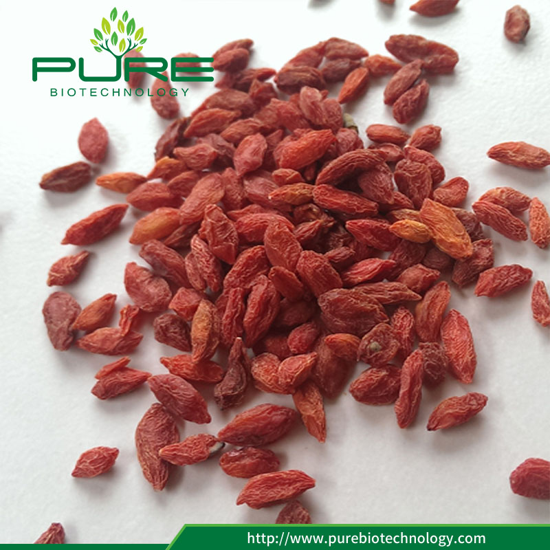 जड़ी बूटी गोजी जामुन Herbs Goji Berries