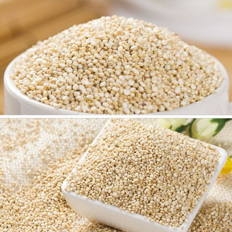 Quinoa Powder Quinoa Powder