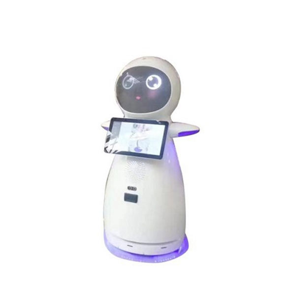Educational Artificial Intelligent Companion Robot