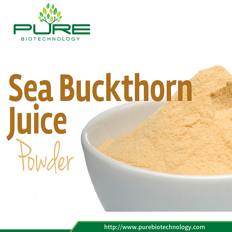 2017 น้ำพุร้อน 100% สกัดจากธรรมชาติ Sea Buckthorn 2017 Hot Sale 100% Natural Sea Buckthorn Powder Extract