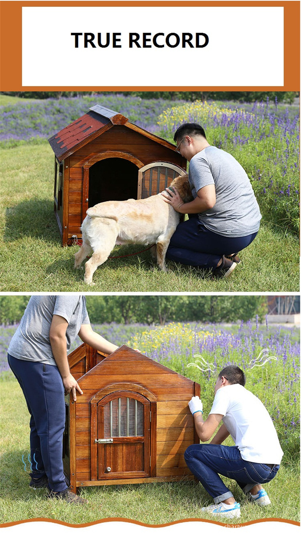 pet house with removable floor pet house with removable floor