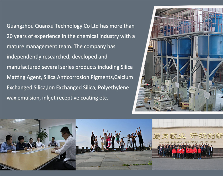 company profile-1 company profile-1