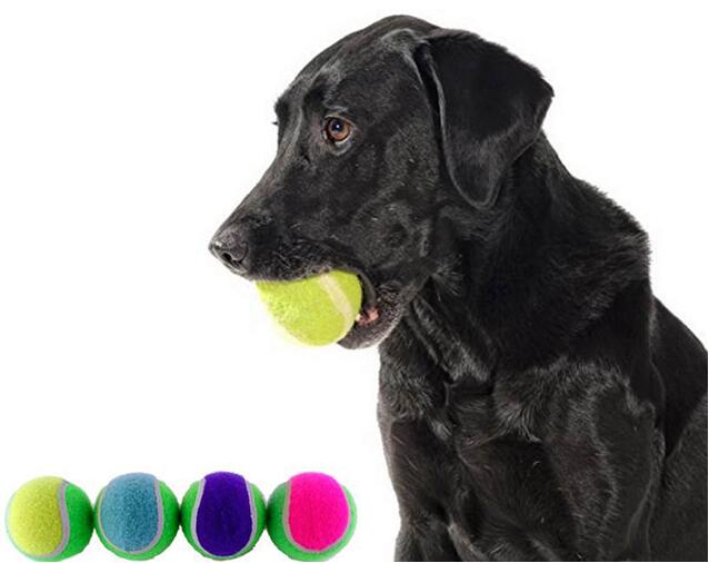 pet dog ball