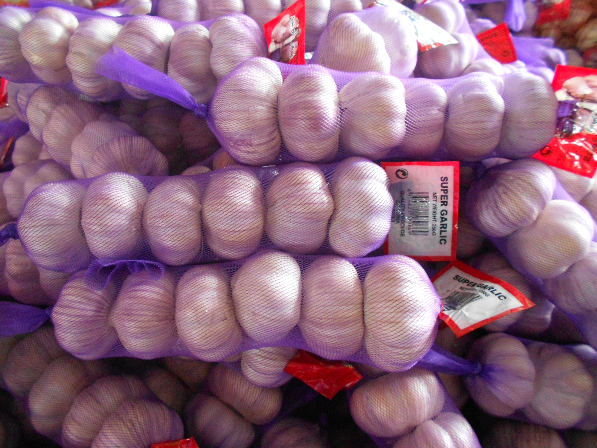 normal white garlic 