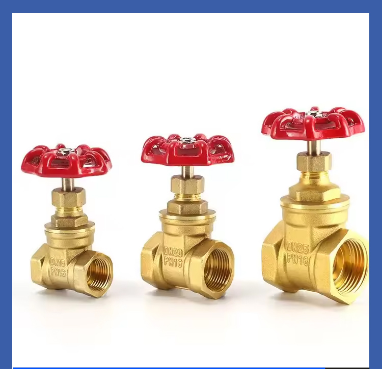 Engineering Specific Gate Valve Engineering Specific Gate Valve