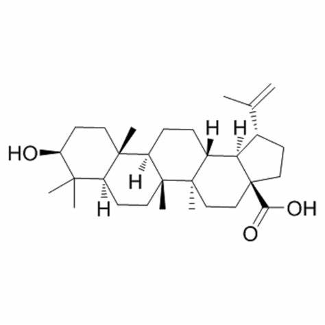 Betulinic acid (1) Betulinic acid (1)