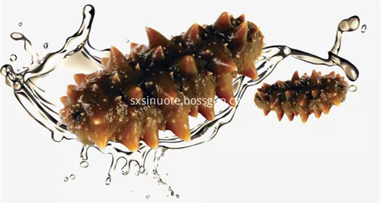 Beche De Mer Extract Powder Beche De Mer Extract Powder