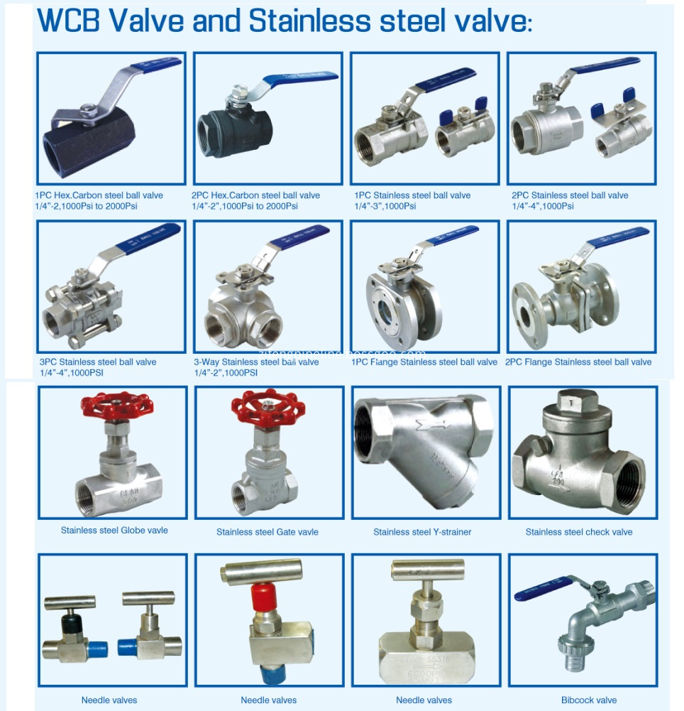 Stainless Steel Valves