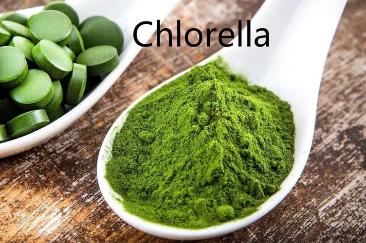 Chlorella Powder Chlorella Powder