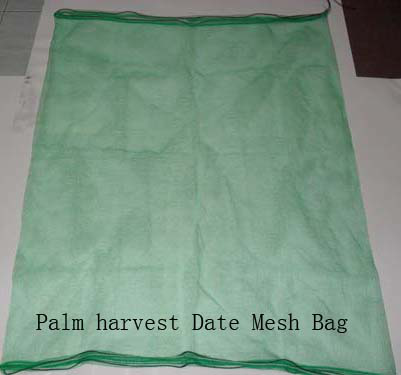 Mesh Bag