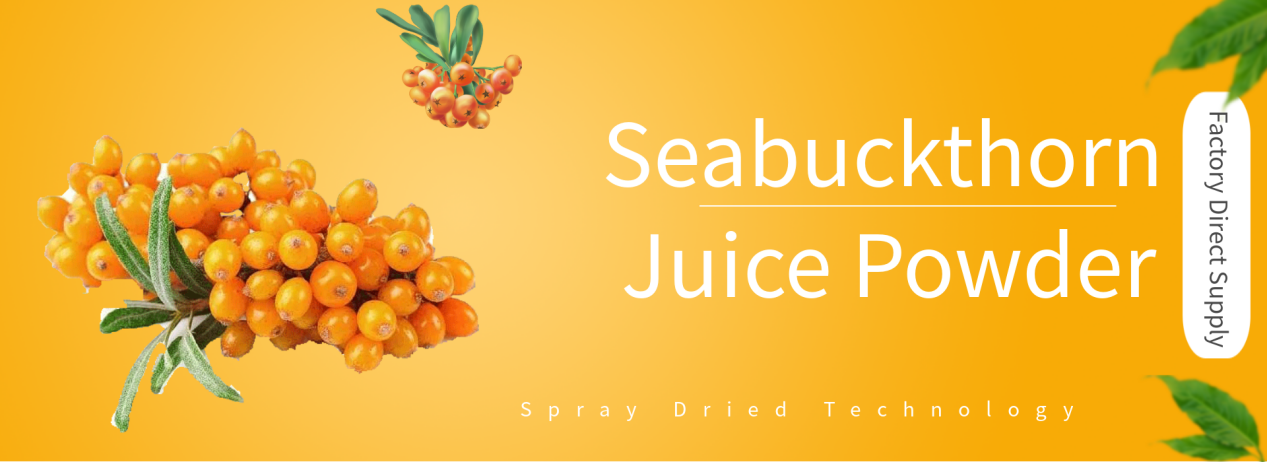 Seabuckthorn Seabuckthorn