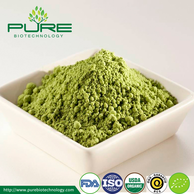 FDA Diluluskan Matcha Tea Powder FDA Approved Matcha Tea Powder