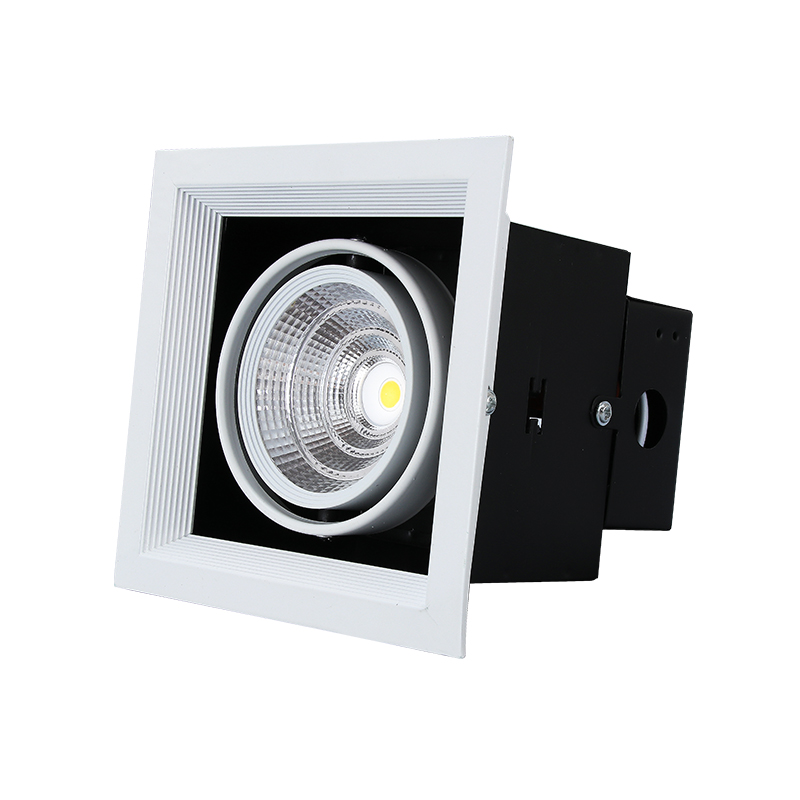 Downlight de cabeça única Single Head Fixture Downlight