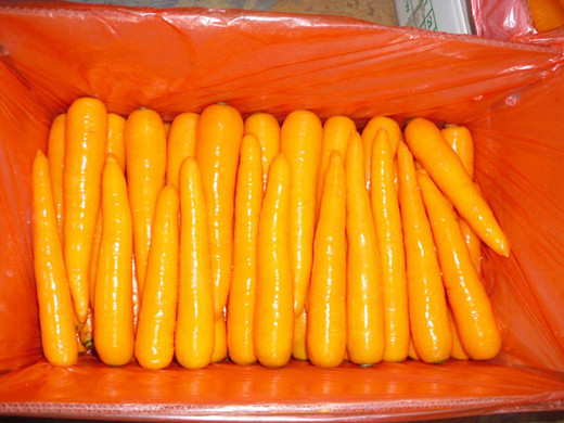 S fresh carrot