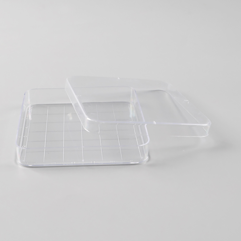 Square Petri Dish, 100 x 100mm with Grid
