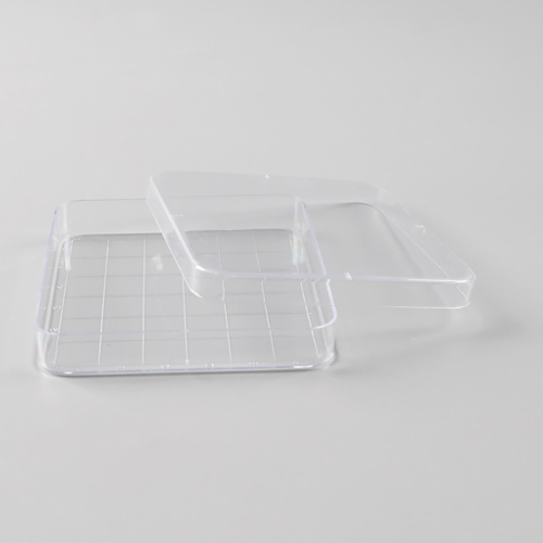 Best Square Petri Dish, 100 x 100mm with Grid Manufacturer Square Petri Dish, 100 x 100mm with Grid from China