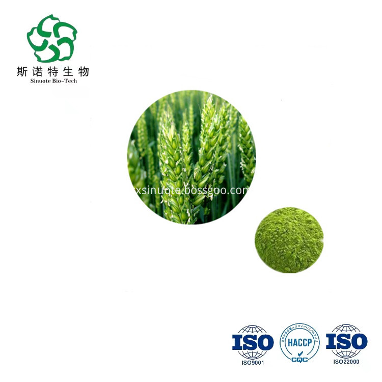 Barley Seedling Powder Barley Seedling Powder