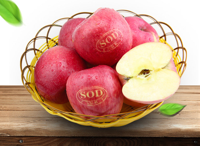 Apel organik Organic apple