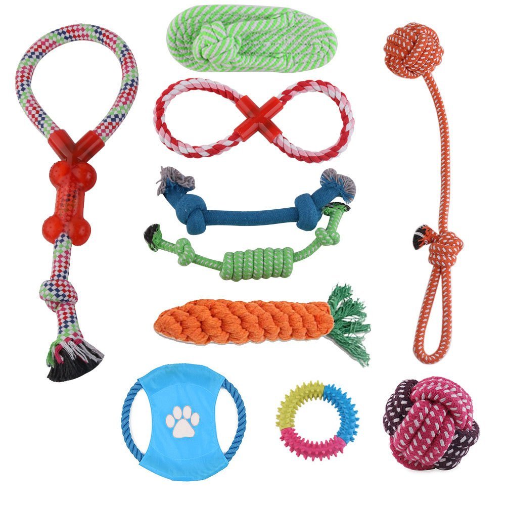 Dog chew toys1