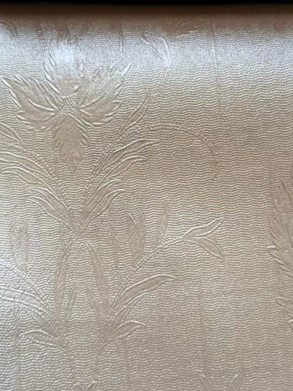 _20250606111559 _20250606111559