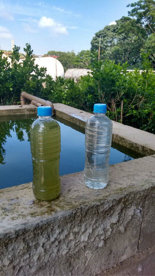 water sample comparison