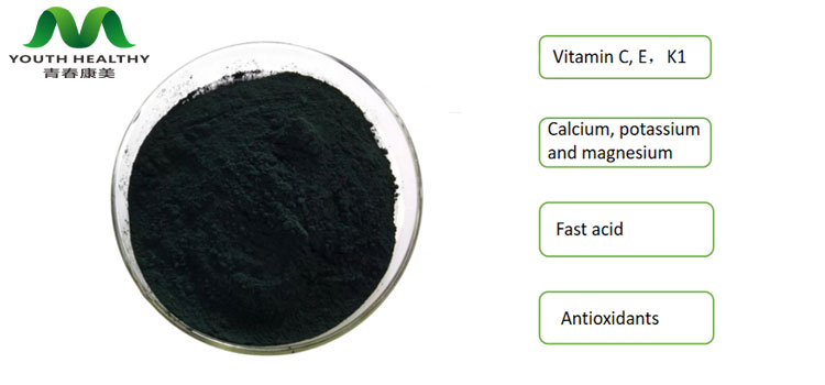 Chlorophyll powder Chlorophyll powder