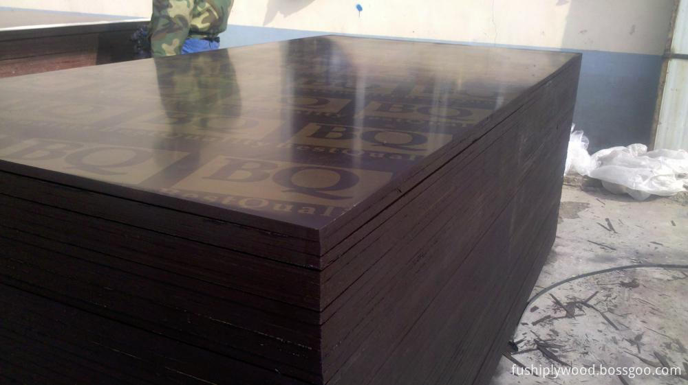 Poplar Core Black Film Faced Plywood 