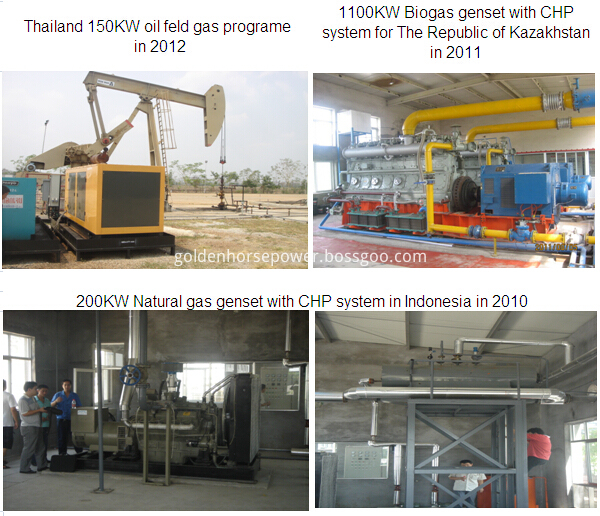 gas generator success case gas generator success case