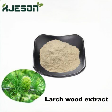 Larch wood extract (1) Larch wood extract (1)