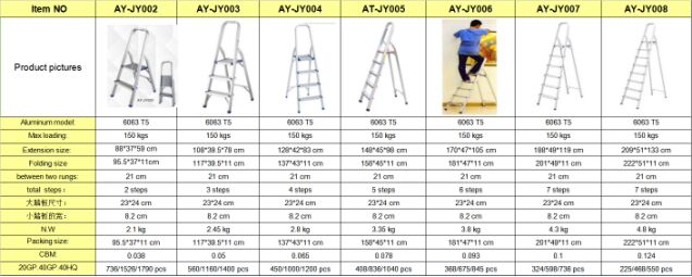 Household Ladder