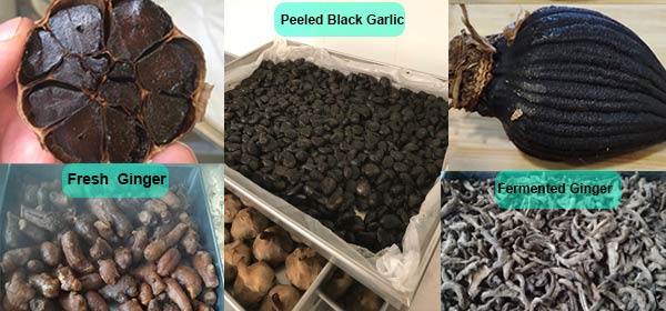 black-garlic-application black-garlic-application