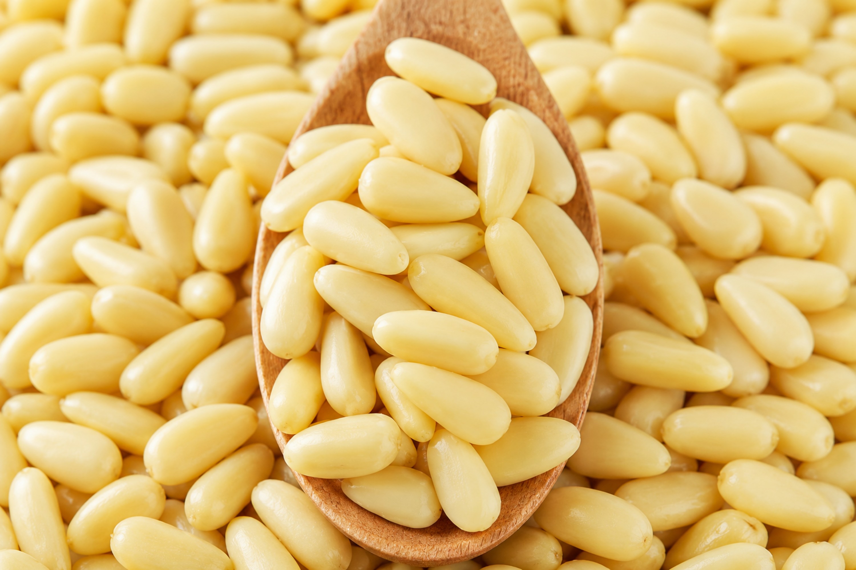 Pine Nuts Snacks3 Pine Nuts Snacks3
