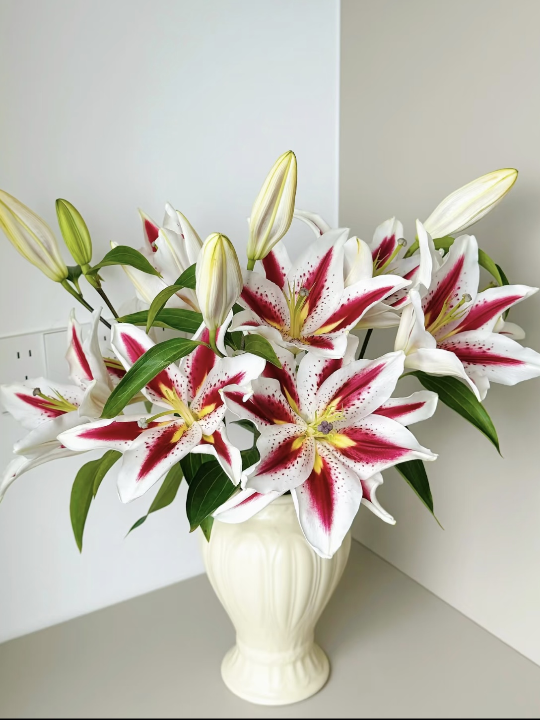 Smiley Single-petal Lily3 Smiley Single-petal Lily3