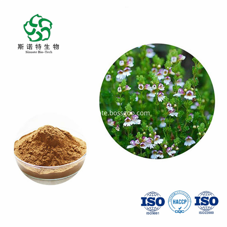 Eyebright Extract Eyebright Extract